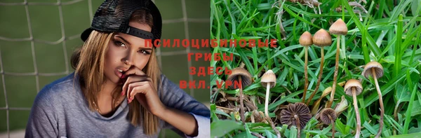 мет Алзамай